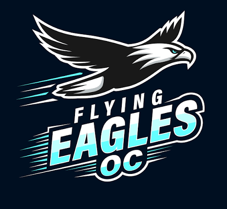 Flying Eagles Orange County youth running club logo